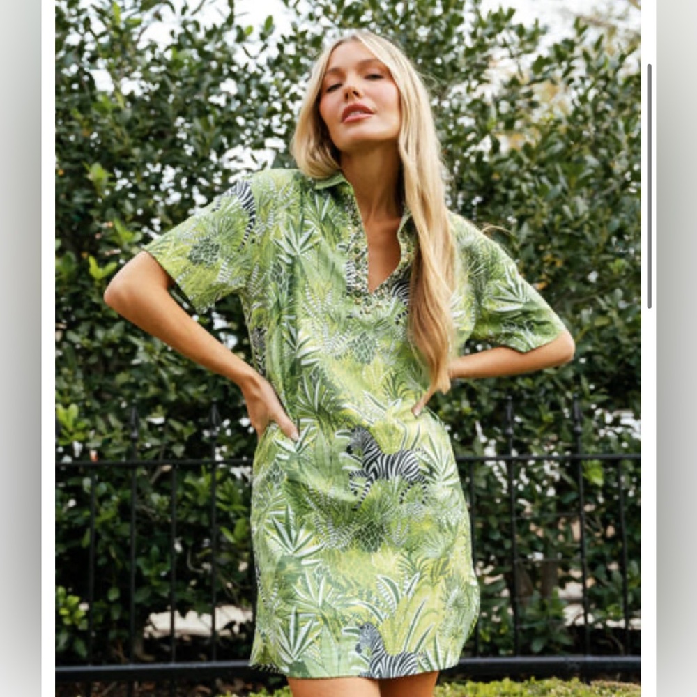 Sheridan French Rhodes Dress in Pistachio Zebra Soirée Large NWT